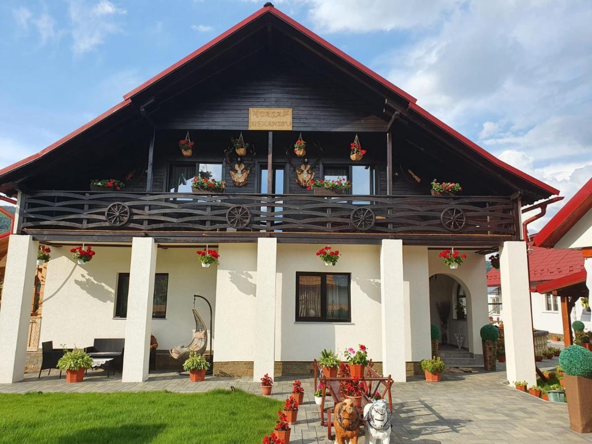 Casa Alexandru - Locul In Care Te Simti Acasa Hotell Viseu de Jos Eksteriør bilde