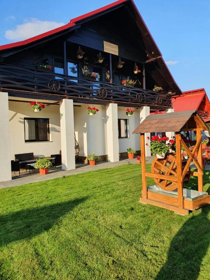 Casa Alexandru - Locul In Care Te Simti Acasa Hotell Viseu de Jos Eksteriør bilde