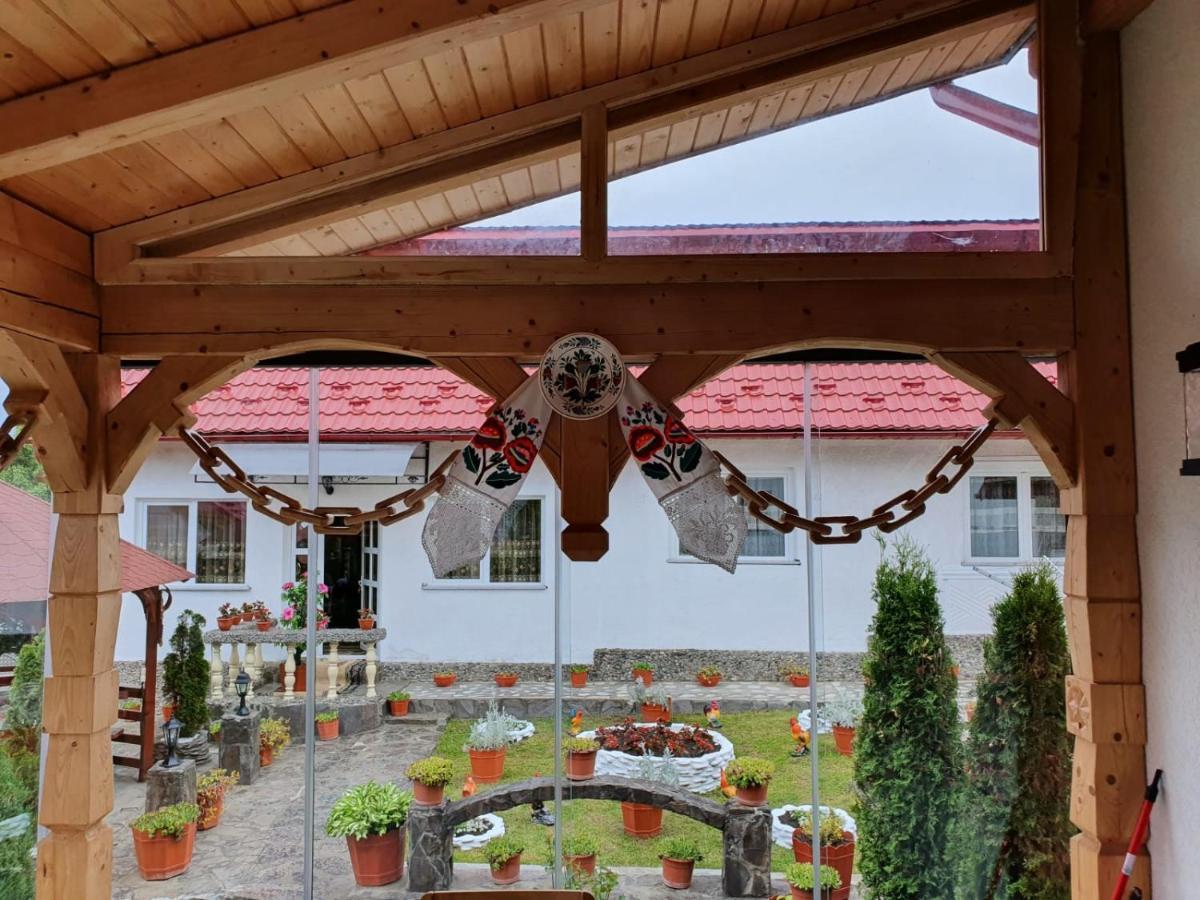 Casa Alexandru - Locul In Care Te Simti Acasa Hotell Viseu de Jos Eksteriør bilde