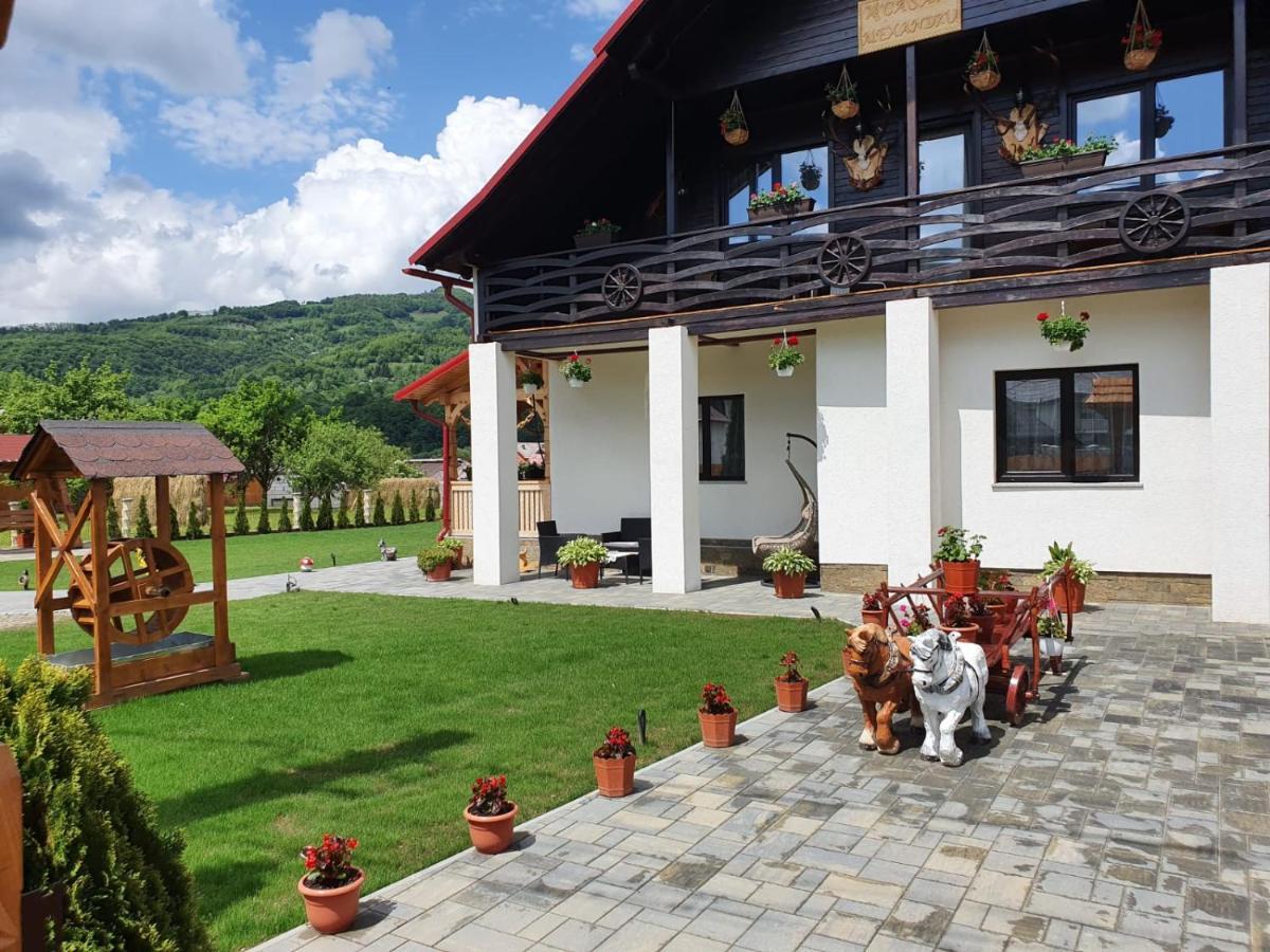 Casa Alexandru - Locul In Care Te Simti Acasa Hotell Viseu de Jos Eksteriør bilde