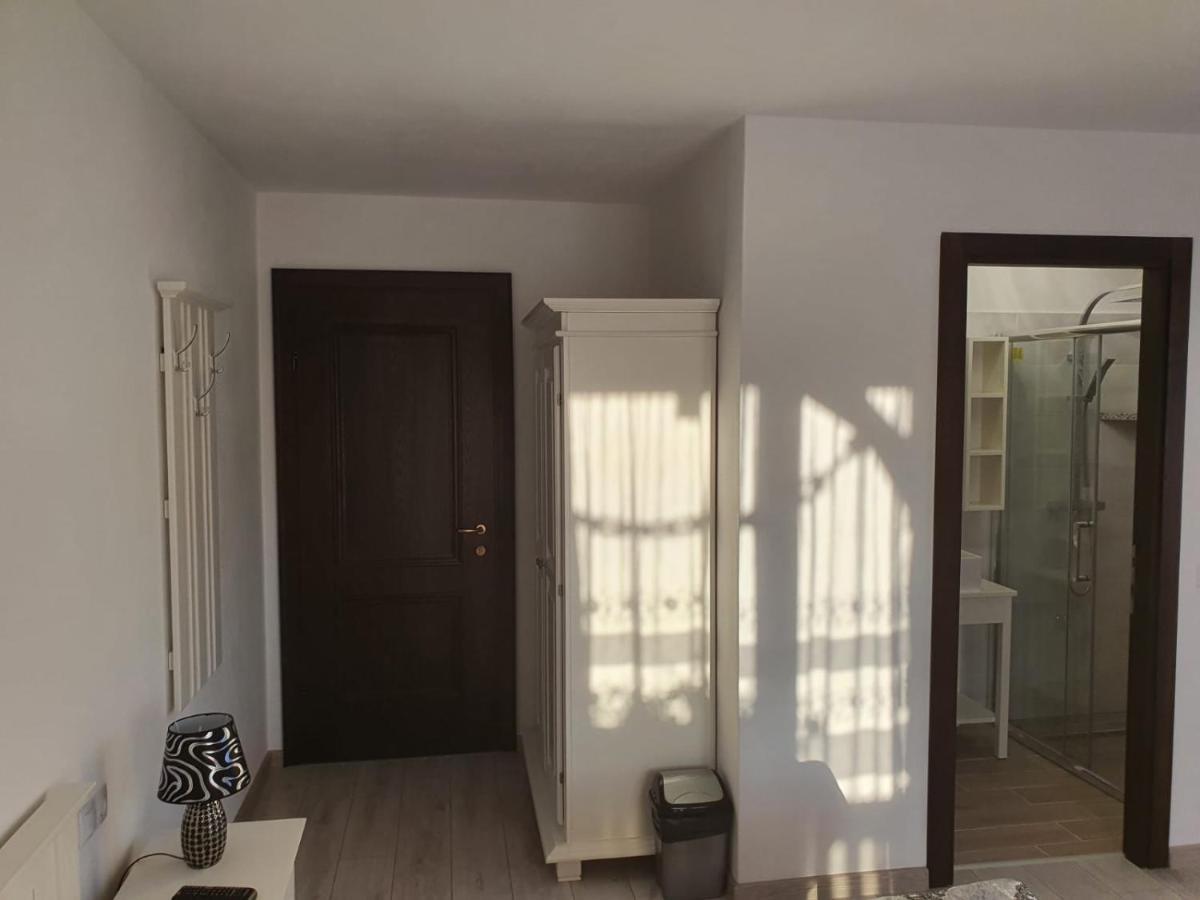 Casa Alexandru - Locul In Care Te Simti Acasa Hotell Viseu de Jos Eksteriør bilde