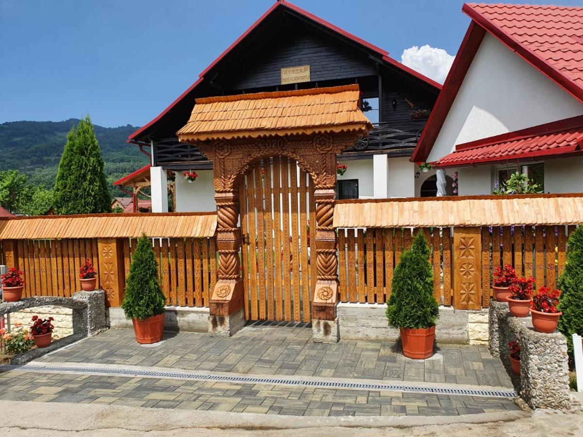 Casa Alexandru - Locul In Care Te Simti Acasa Hotell Viseu de Jos Eksteriør bilde